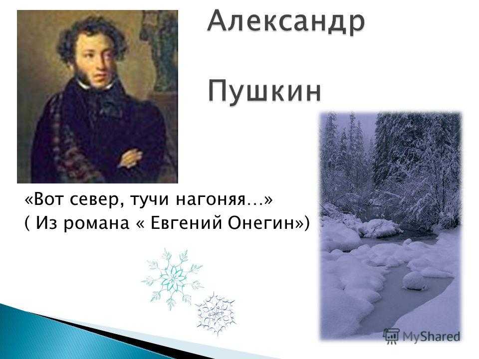 Пушкин «евгений онегин»:«зима!.. радіючи, в ґринджоли
конячку селянин запріг;
по первопуттю через поле
вона чвалає, вчувши сніг;»