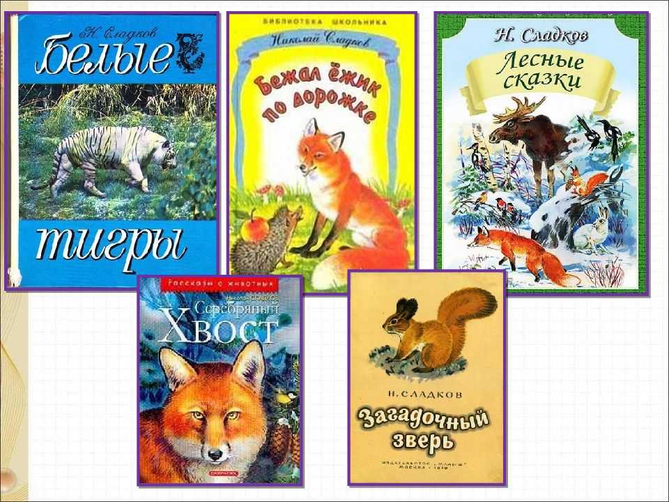 Сказки про лесных жителей для детей читать онлайн