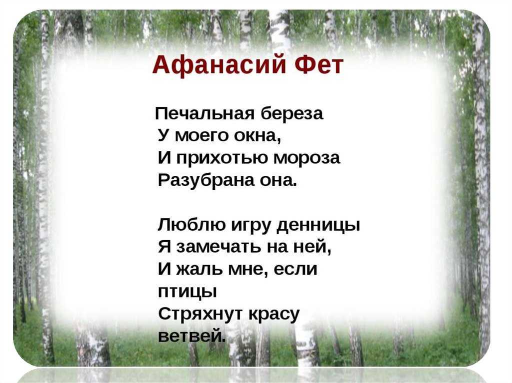 Короткие, красивые стихи о лете русских поэтов-классиков для детей