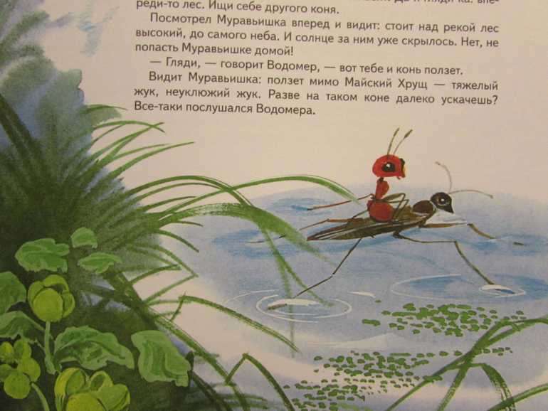 Как Муравьишка спешил домой - Бианки ВВВ сказке рассказывается про муравьишку, который в перед заходом солнца оказался далеко от своего муравейника