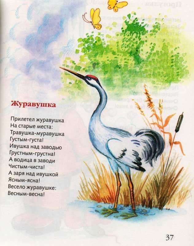 Осенний клад. стихи про осень для детей