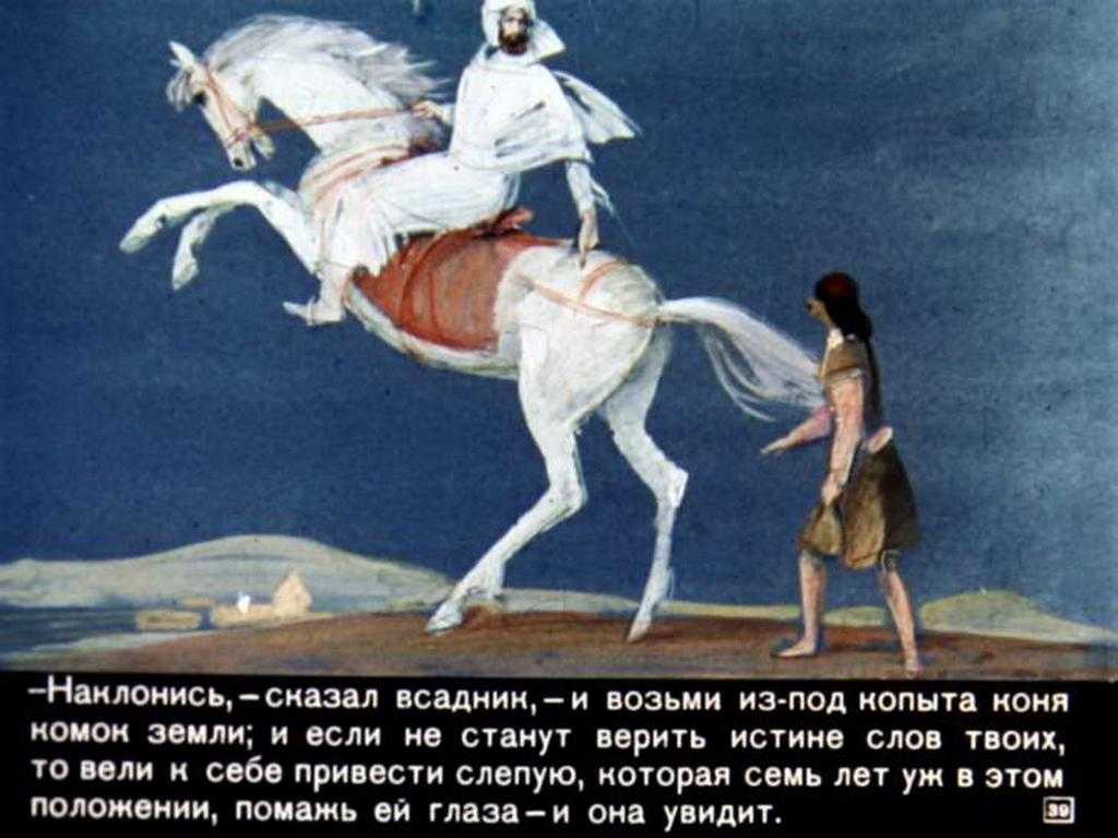 Всадник на белом коне. пророчества знаменитых ясновидящих