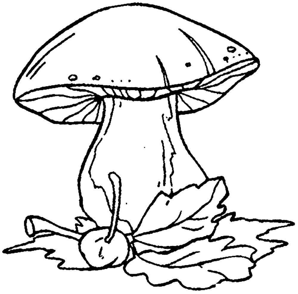Рисование грибы в старшей группе: изображение съедобных и ядовитых поэтапно, рисование ягод, поляны, корзины, конспект занятия, фото, видео