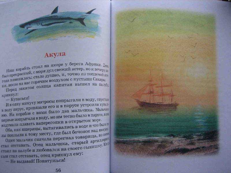 Акула - Толстой ЛН Мальчишки не послушали приказ капитана и уплыли в открытое море Их чуть не съела акула, но опытный артиллерист выстрелил в акулу