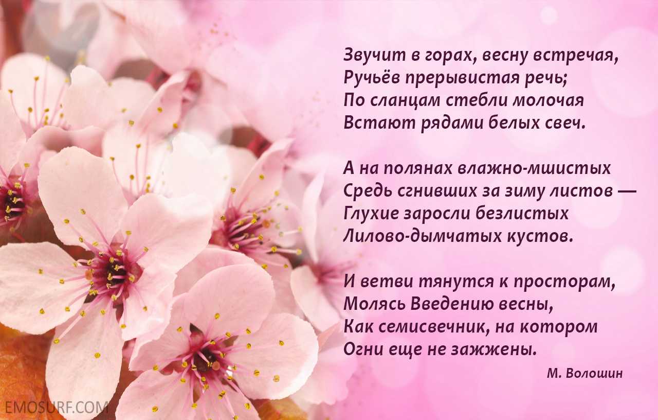 Стихи о весне русских поэтов классиков для 3 класса