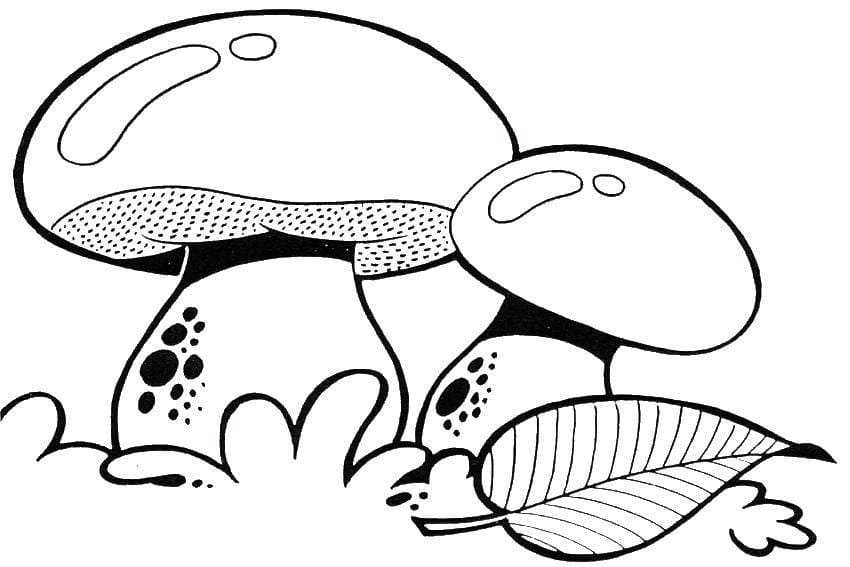 Как нарисовать гриб поэтапно карандашом (64 фото) - интересные мастер-классы для начинающих