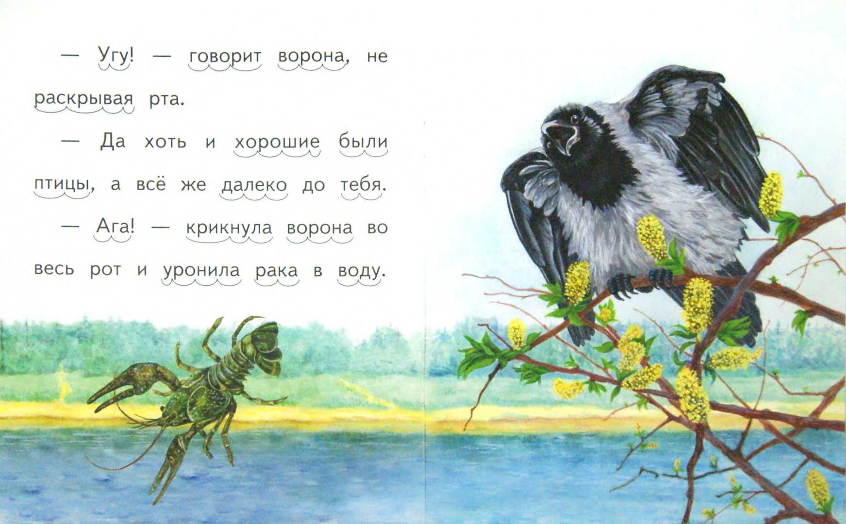Ворона: сказка братьев гримм читать онлайн