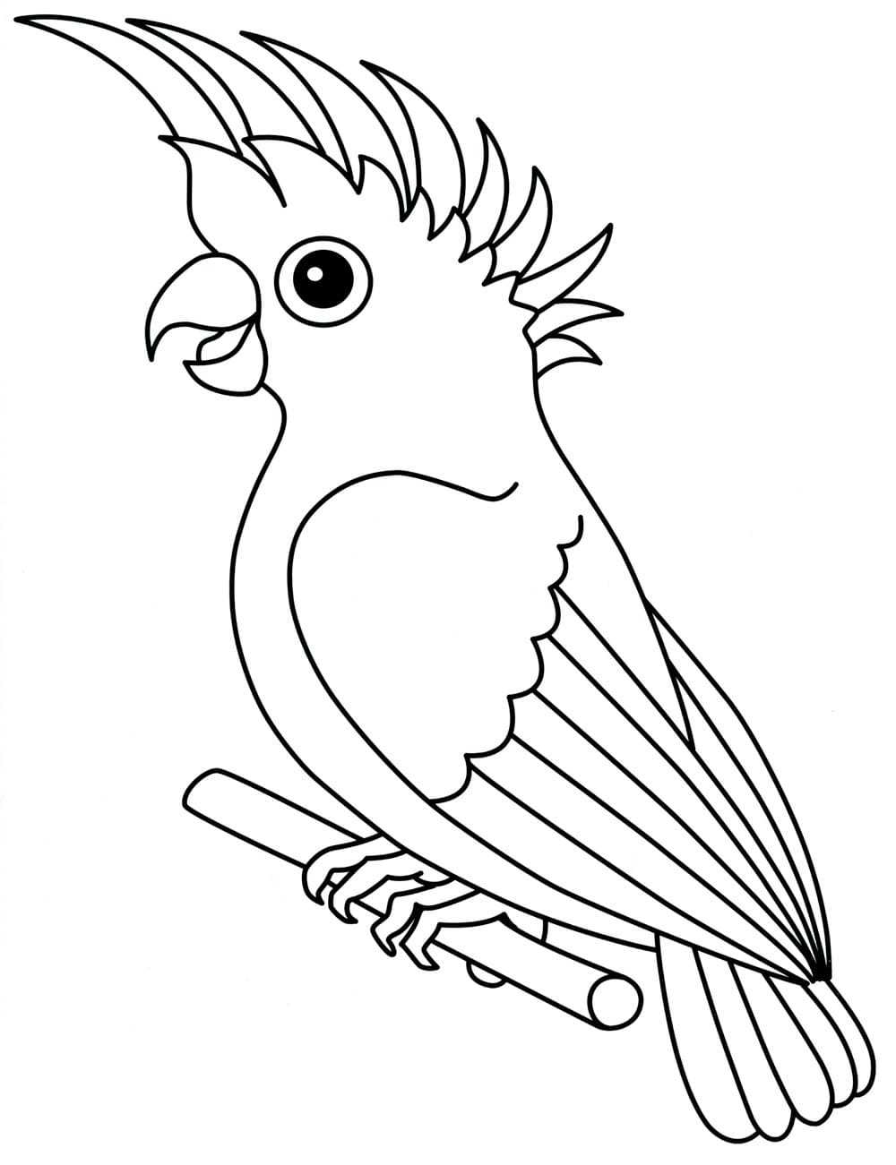 Рассказ о перелетных птицах для детей (как живут, описание)