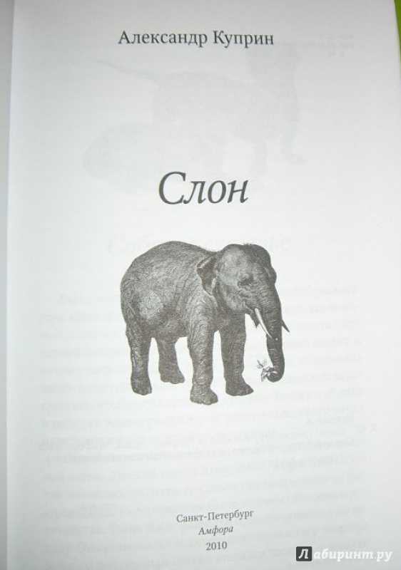 Куприн «слон»