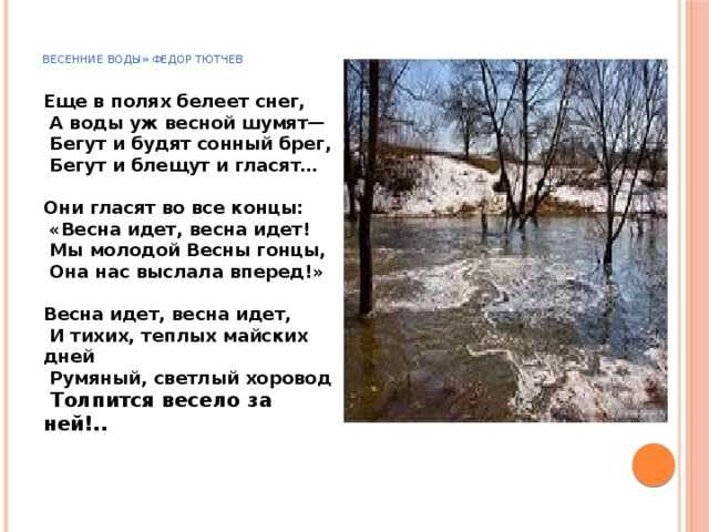 «весенние воды» ф. тютчев