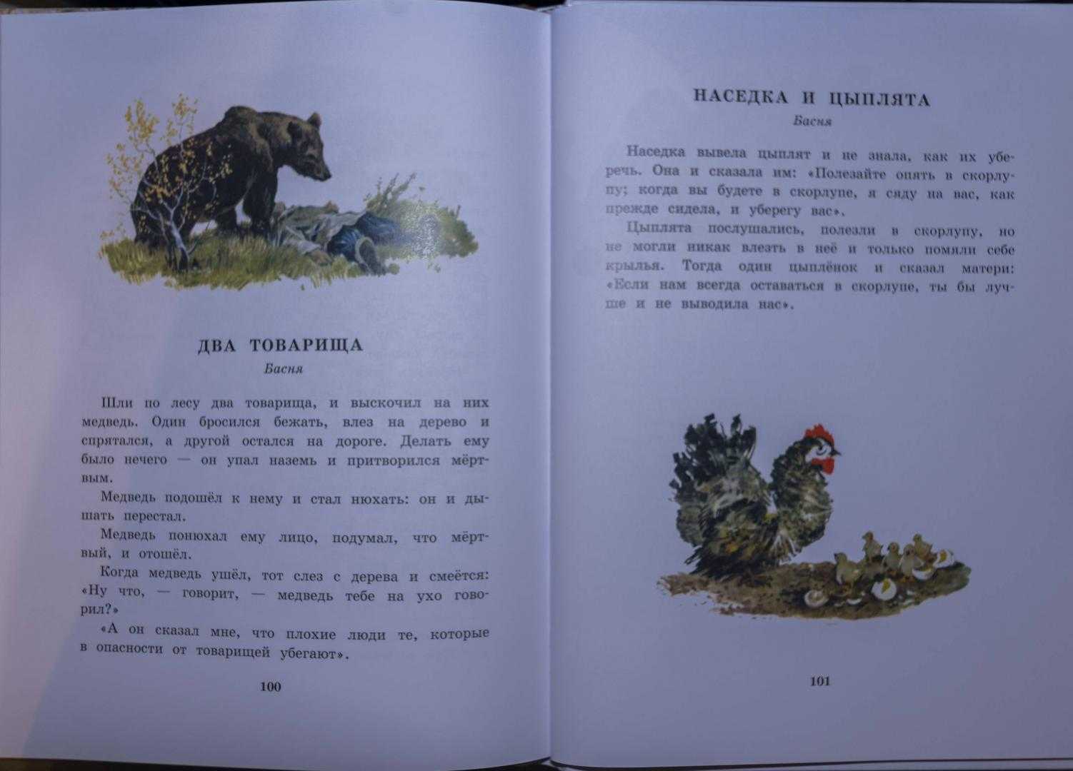 «лев и собачка» краткое содержание для читательского дневника по сказке толстого (3 класс) – главная мысль, план пересказа, пословицы