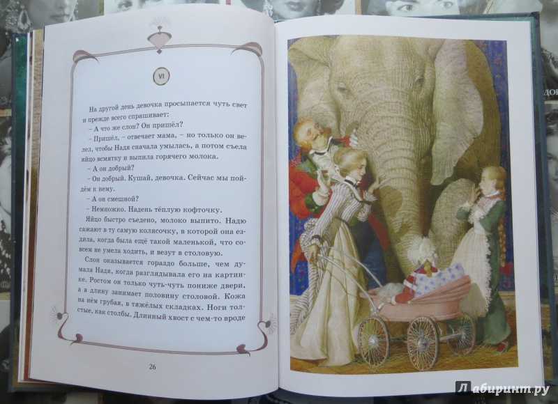 Рассказ про слона. рассказы о животных житкова текст читать онлайн бесплатно