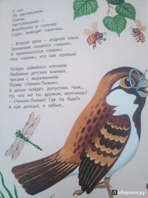 Стихи про птиц