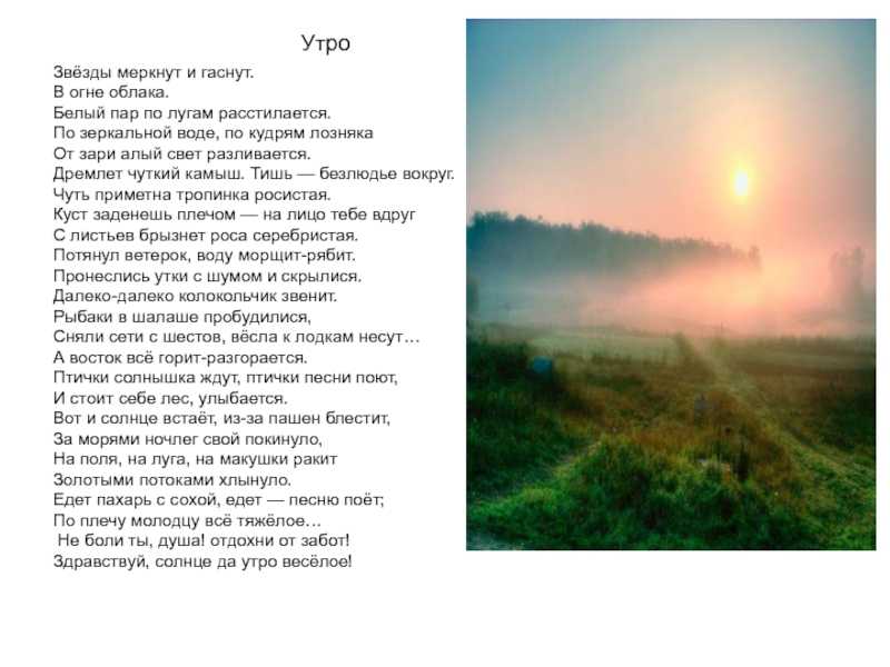 Сочинение: образ лета в стихотворении никитина «утро»